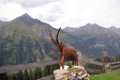 147 Blick von der Panoramaalm zum Ritterkopf 3006 m